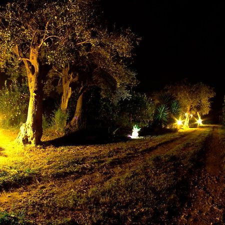 Alle Riserve Vendicari Casa Maccari Bagian luar foto